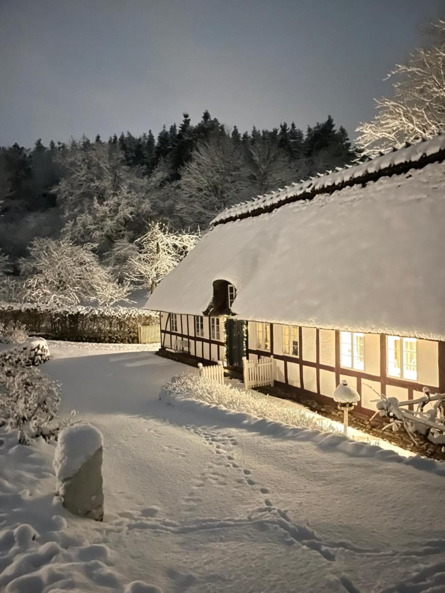Lillemollens Bed & Breakfast Orbaek  Εξωτερικό φωτογραφία