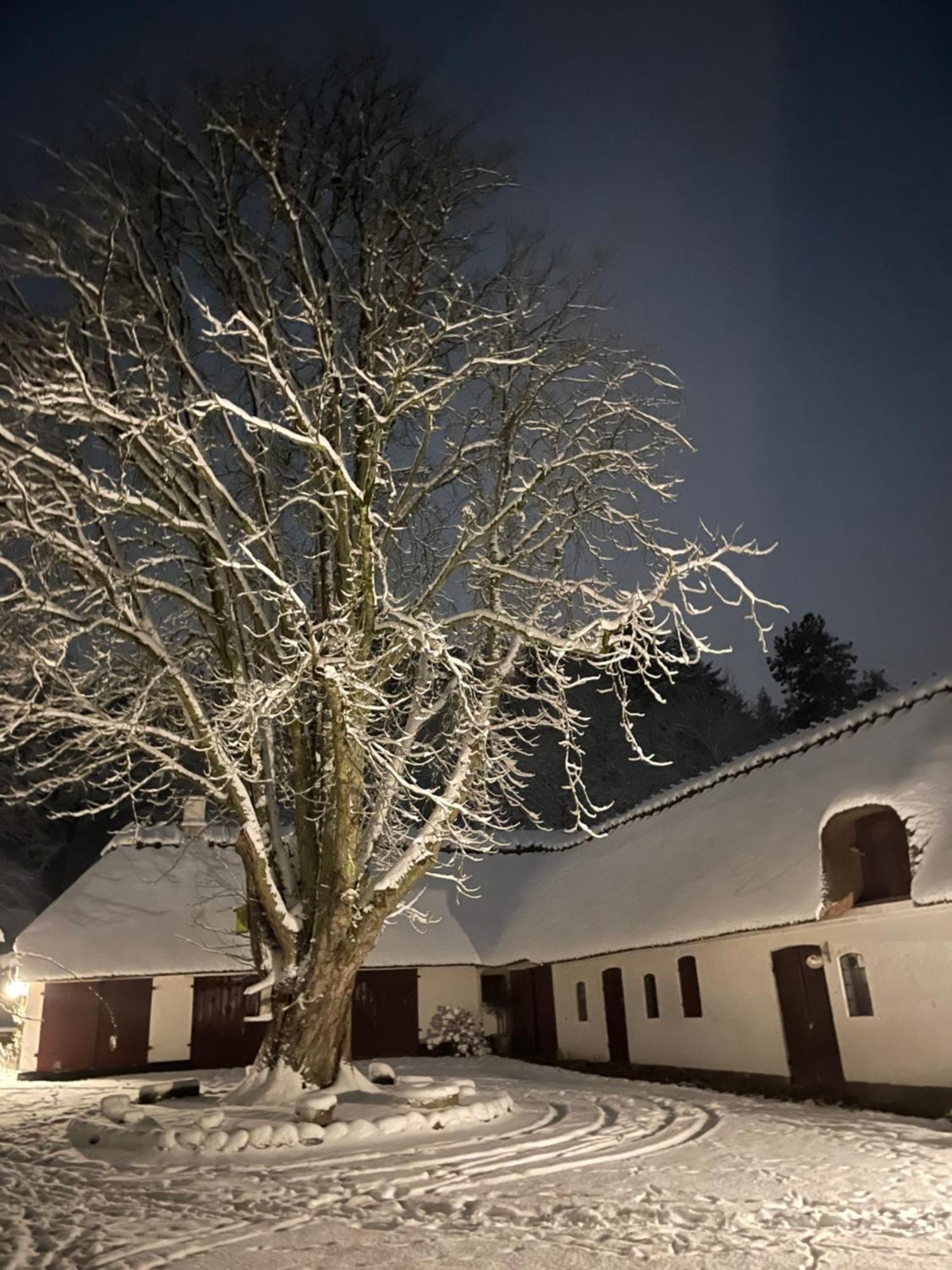 Lillemollens Bed & Breakfast Orbaek  Εξωτερικό φωτογραφία